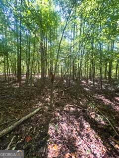 2607 Hughes Road Dewy Rose, GA 30634 - Photo 4 of 10