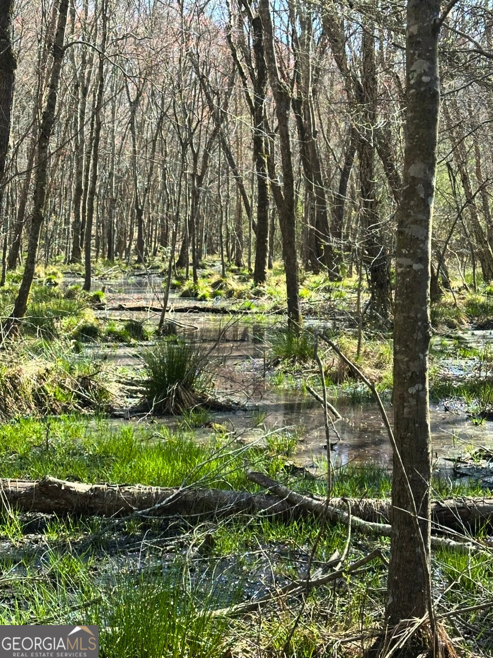 2607 Hughes Road Dewy Rose, GA 30634 - Photo 5 of 10 a view of yard with green space