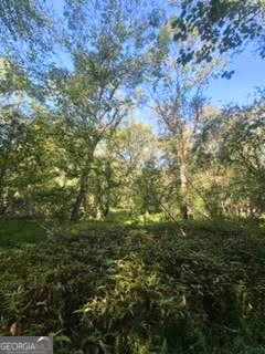 2607 Hughes Road Dewy Rose, GA 30634 - Photo 6 of 10 a view of a yard