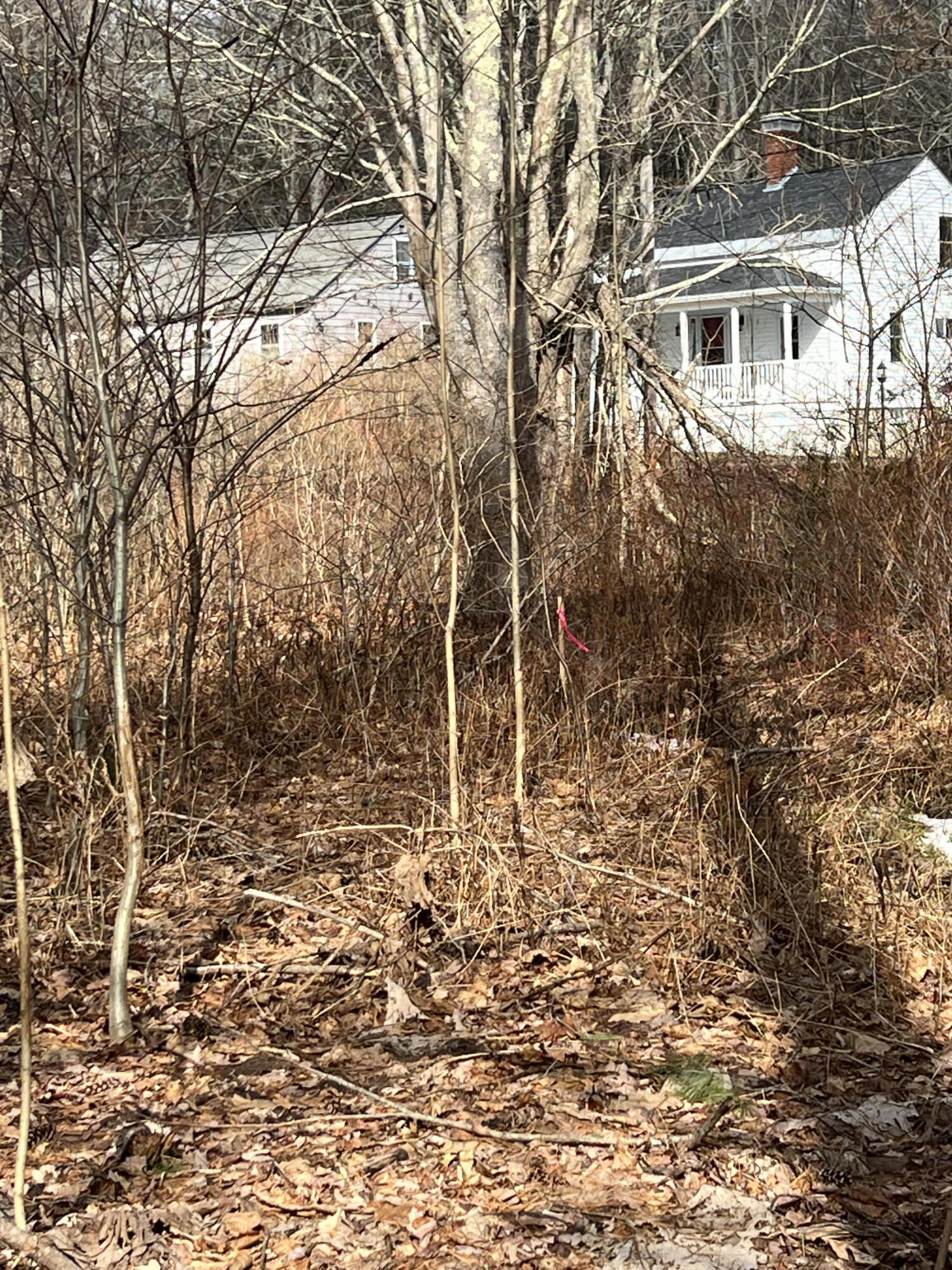 13 River Road York, ME 03902 - Photo 13 of 30 IMG_4100