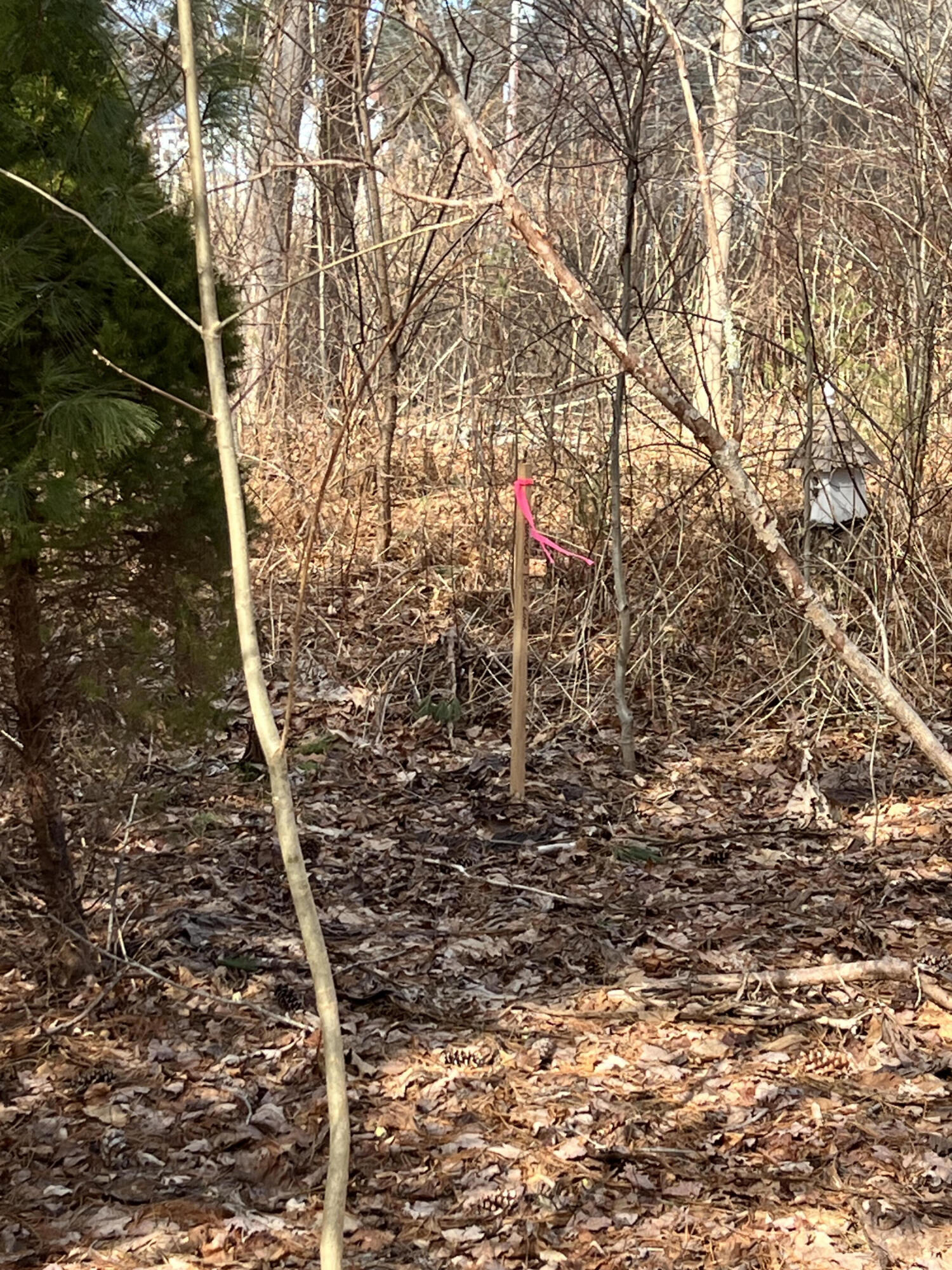 13 River Road York, ME 03902 - Photo 14 of 30 IMG_4099