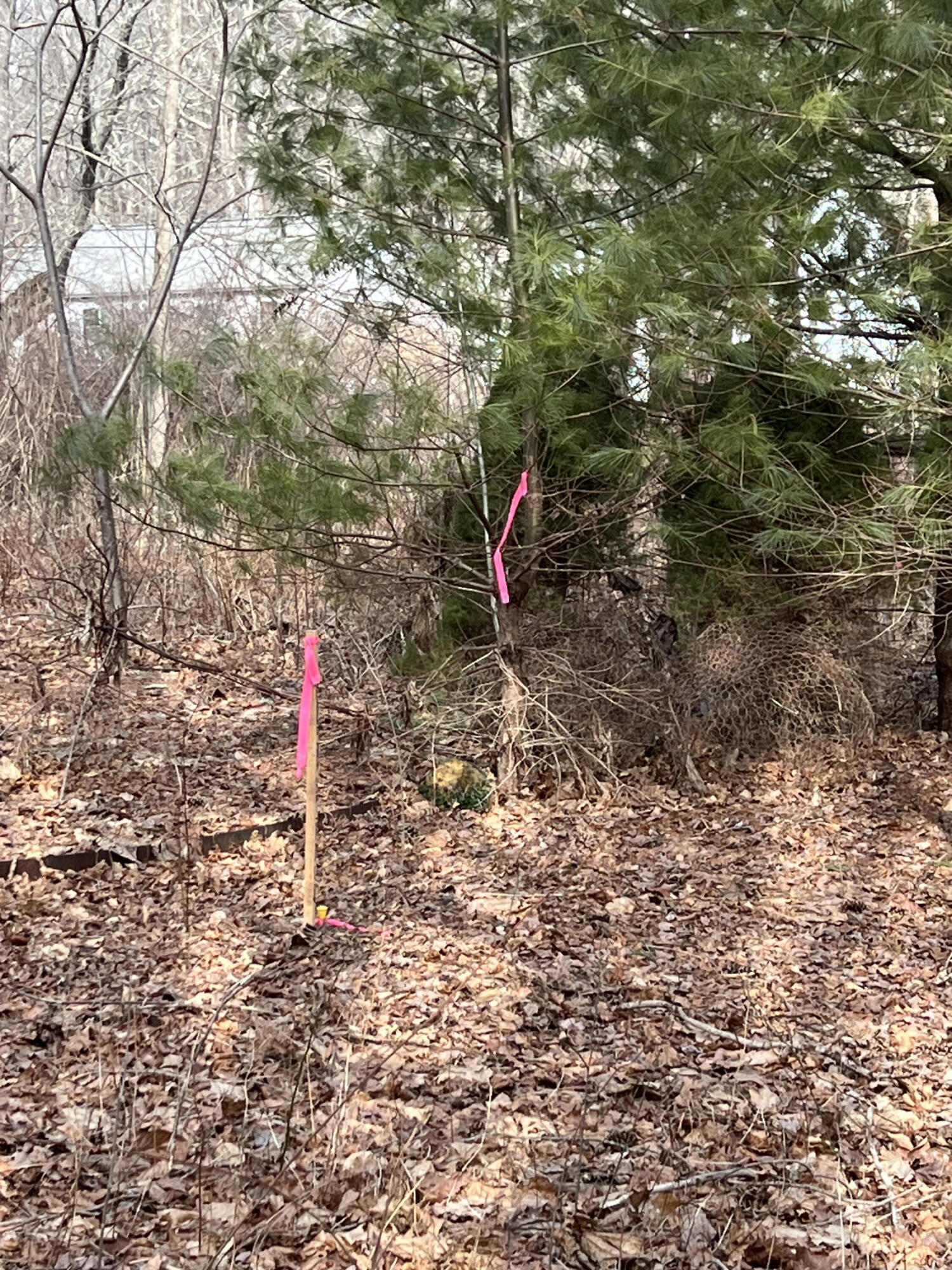 13 River Road York, ME 03902 - Photo 15 of 30 IMG_4098