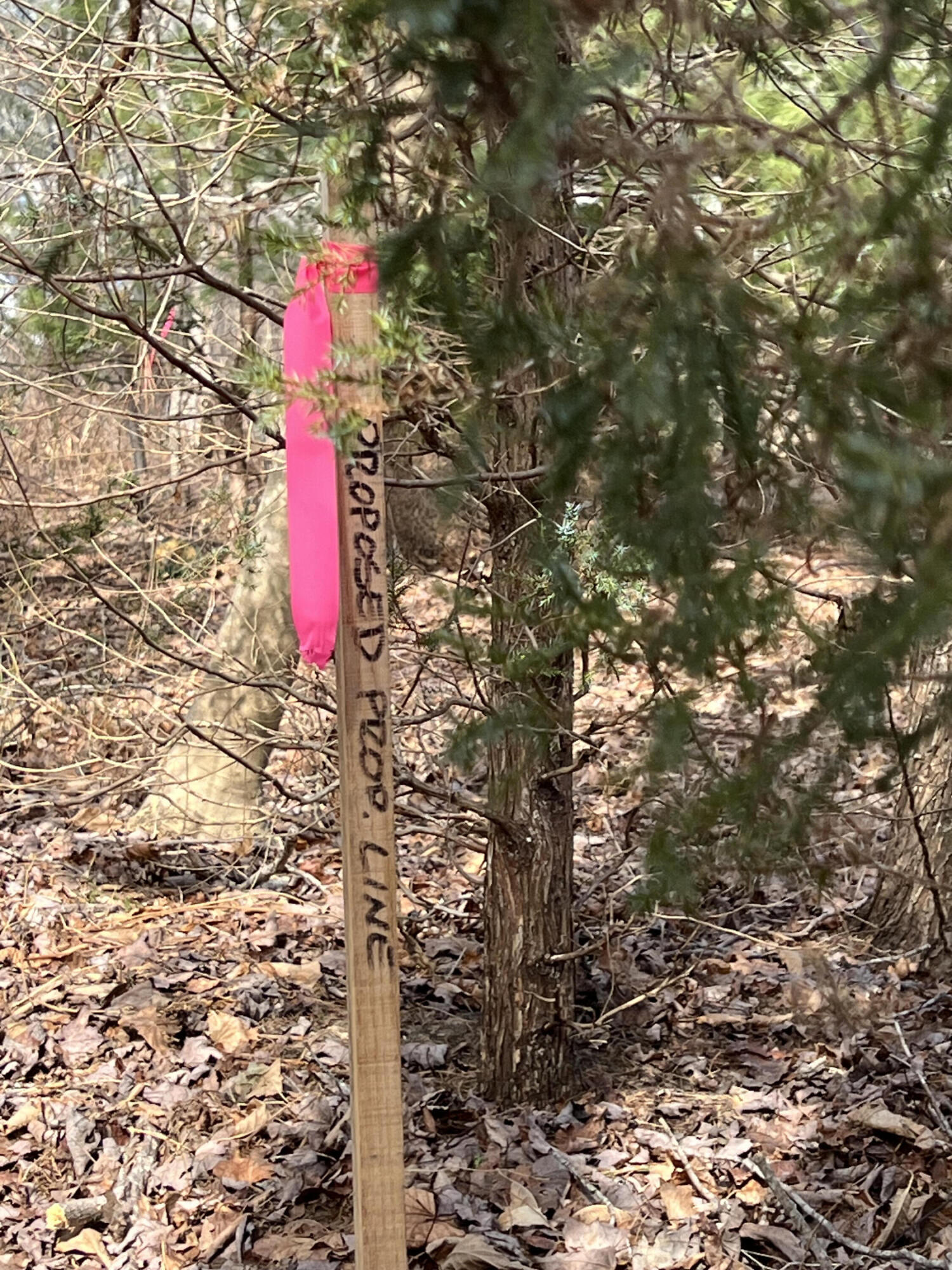 13 River Road York, ME 03902 - Photo 16 of 30 IMG_4097