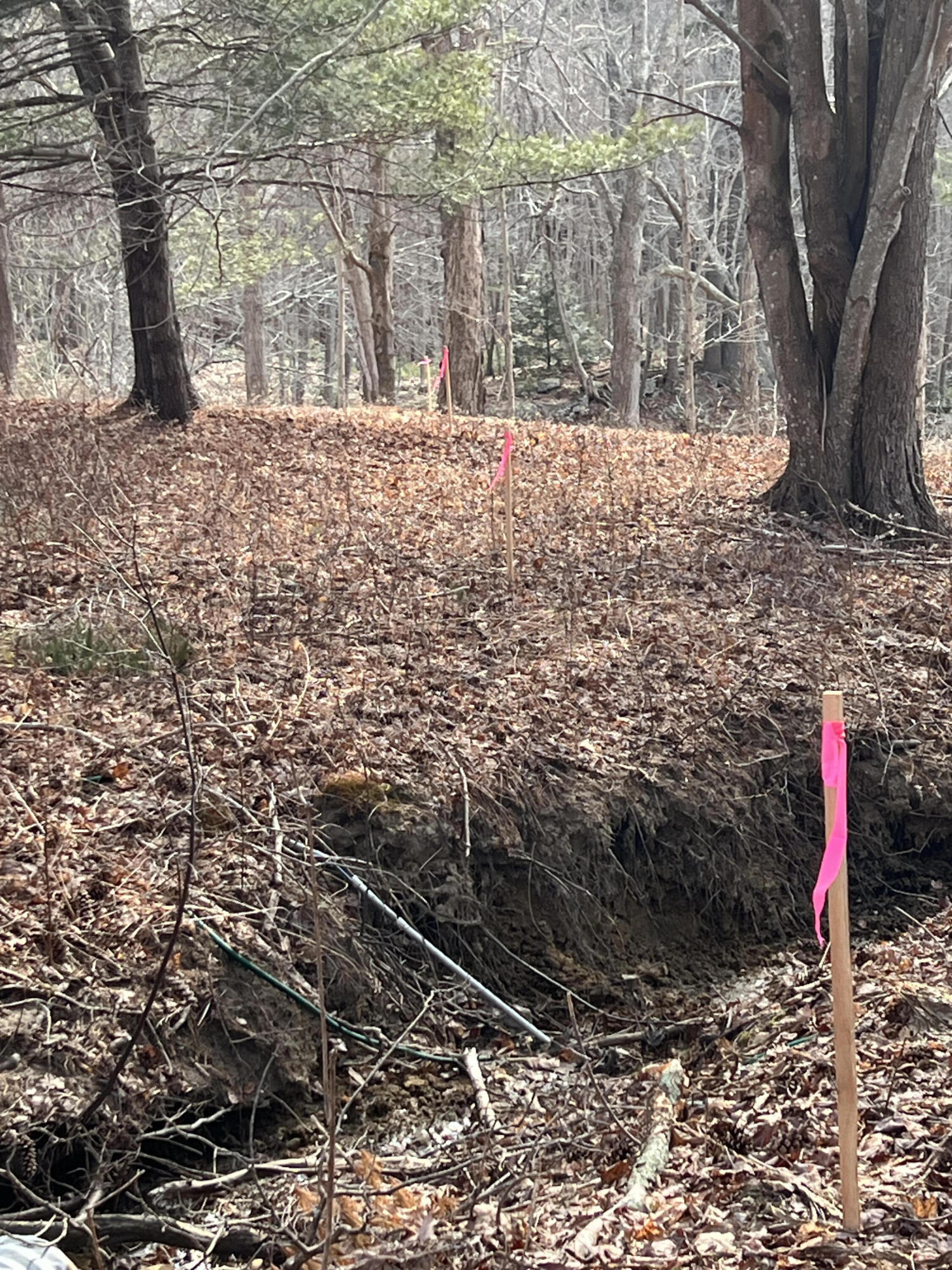 13 River Road York, ME 03902 - Photo 17 of 30 IMG_4096