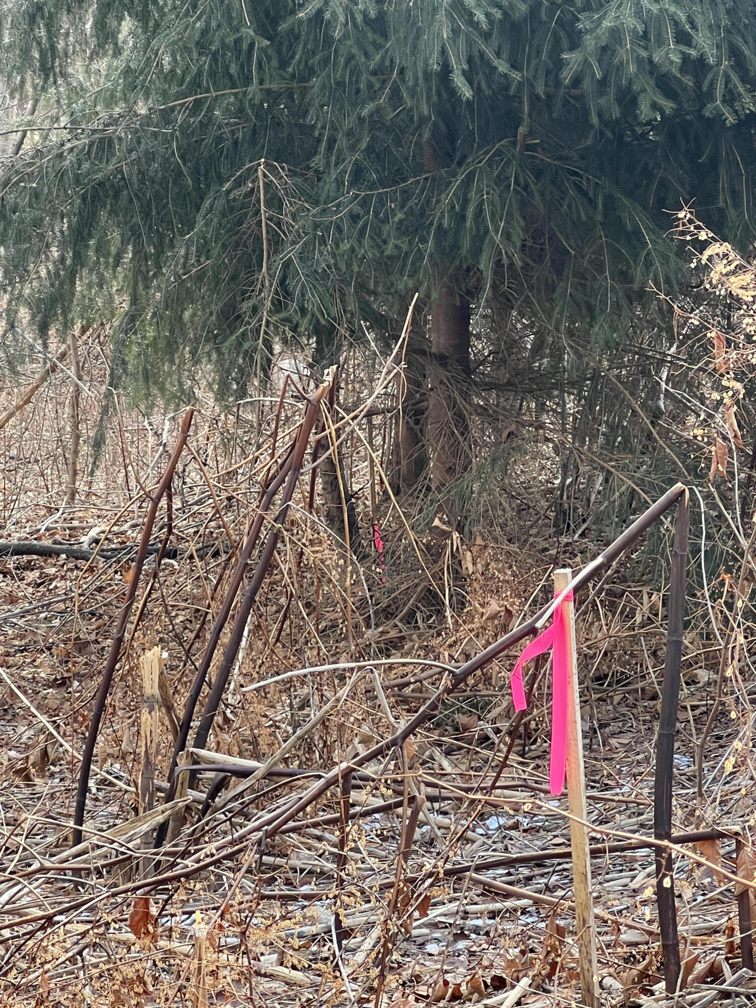 13 River Road York, ME 03902 - Photo 20 of 30 IMG_4093