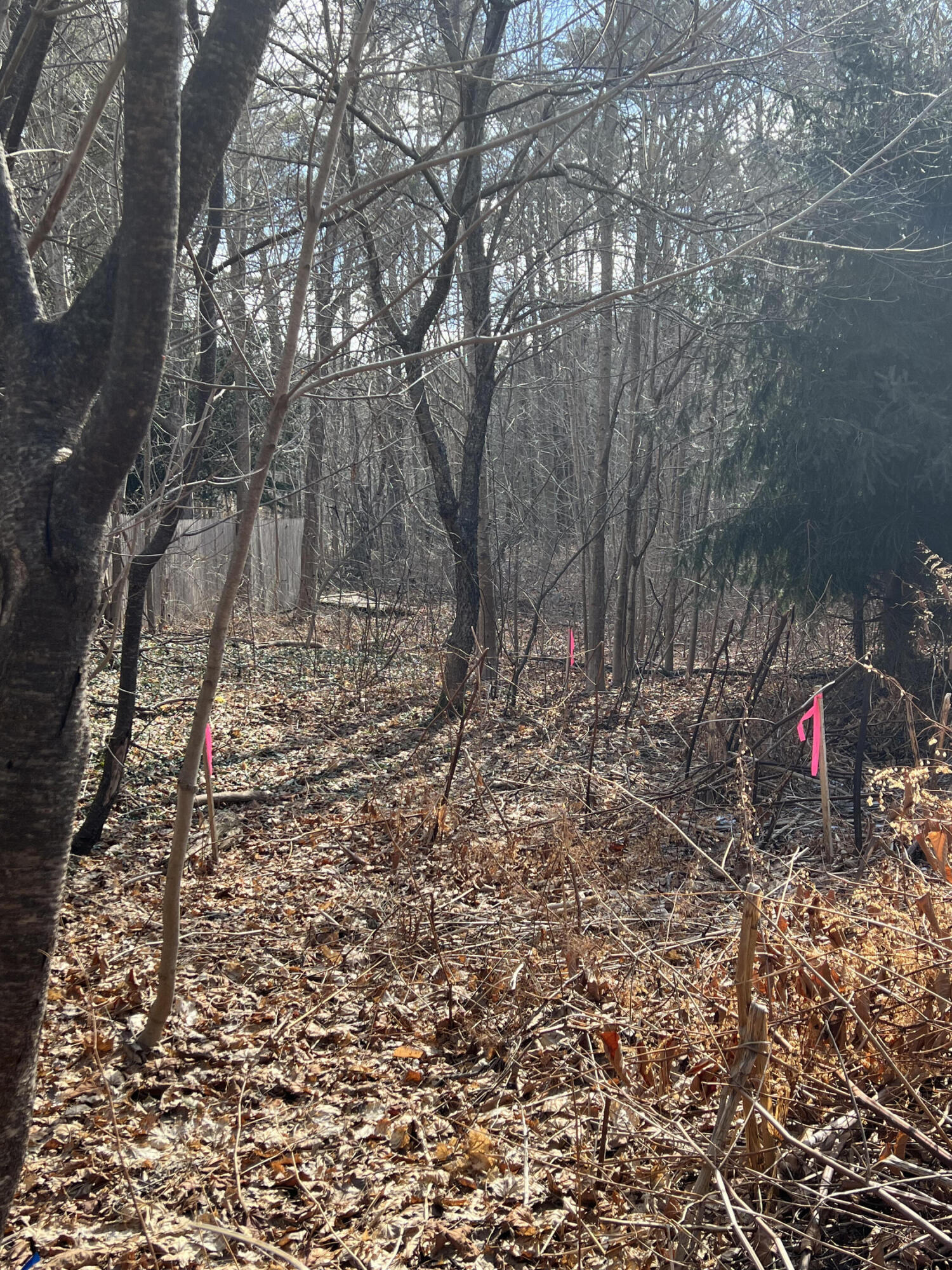 13 River Road York, ME 03902 - Photo 21 of 30 IMG_4092