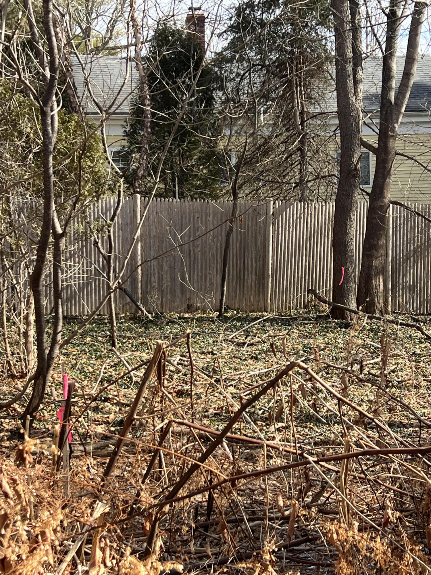 13 River Road York, ME 03902 - Photo 22 of 30 IMG_4091