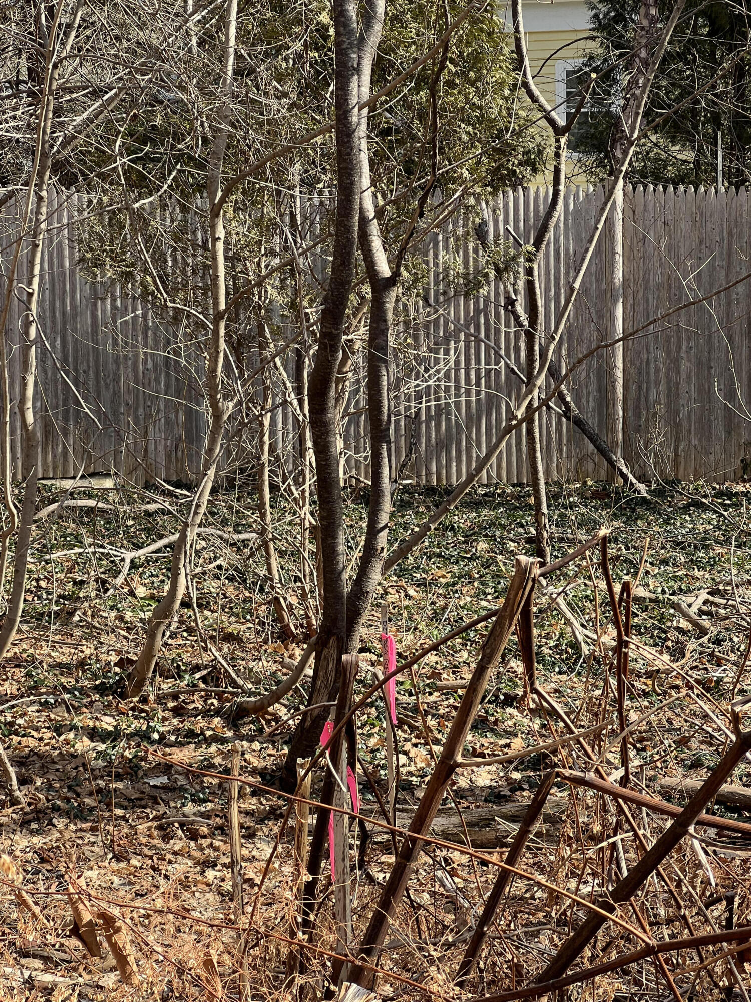 13 River Road York, ME 03902 - Photo 23 of 30 IMG_4090