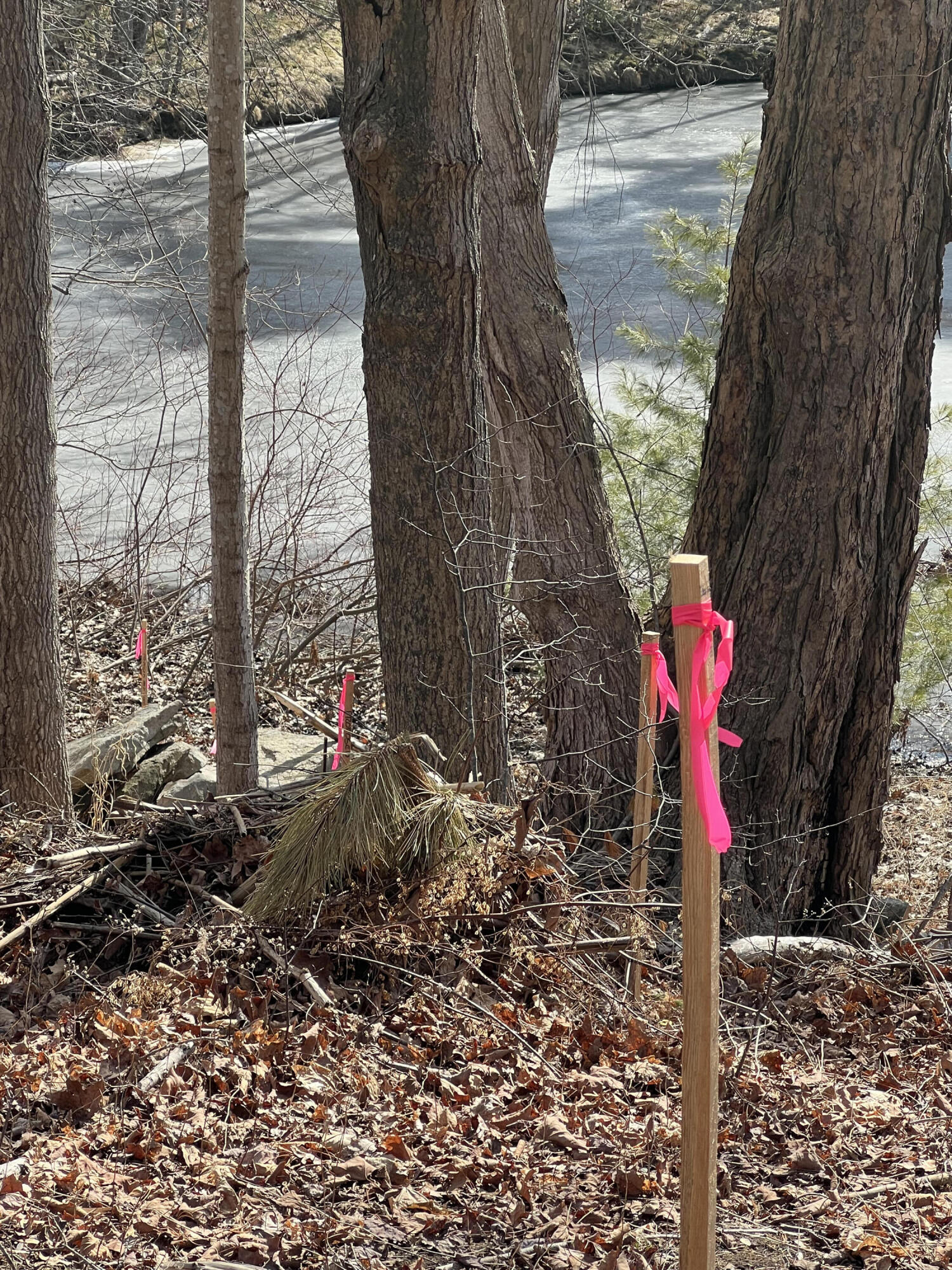 13 River Road York, ME 03902 - Photo 25 of 30 IMG_4088