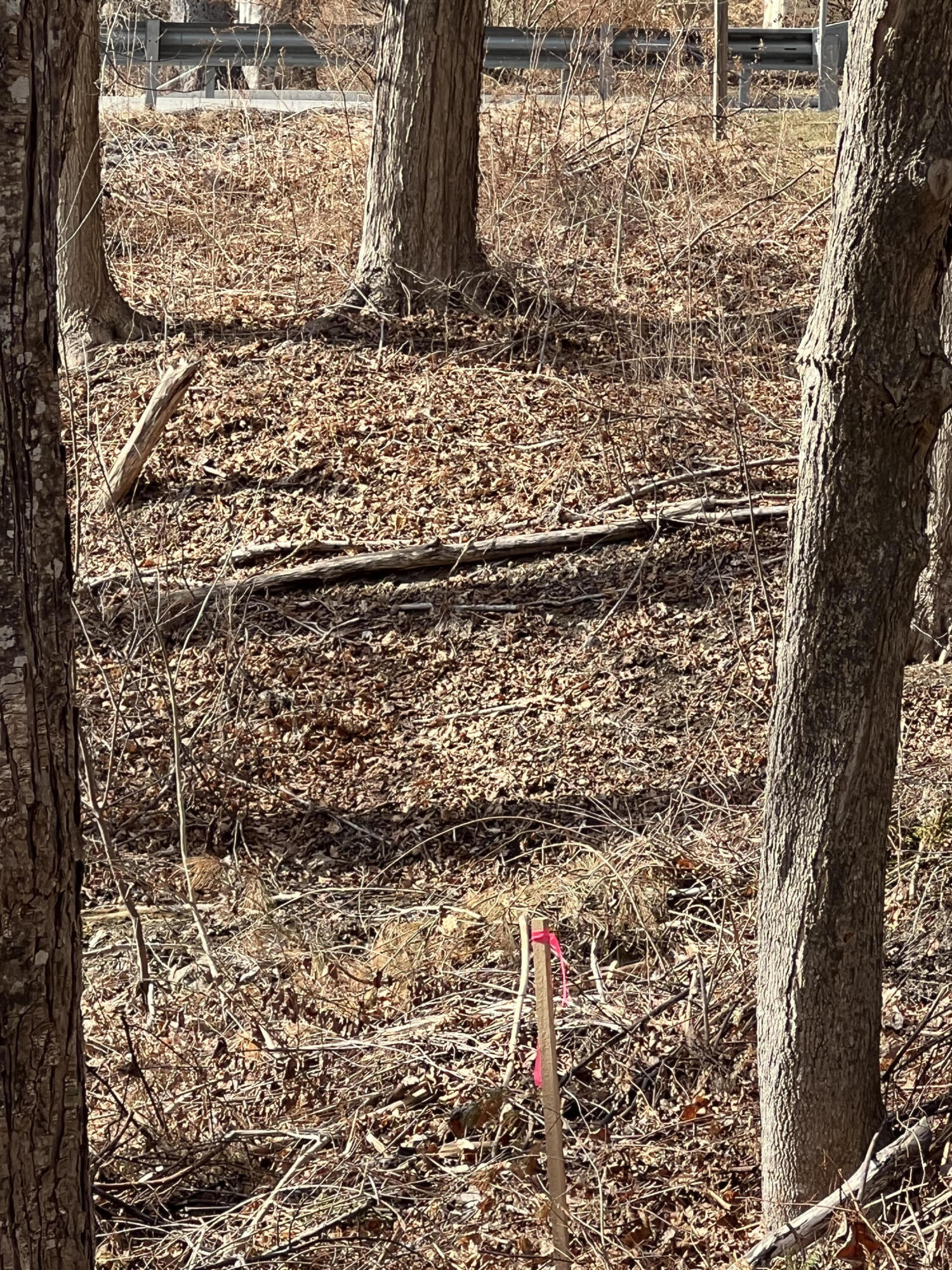 13 River Road York, ME 03902 - Photo 26 of 30 IMG_4087