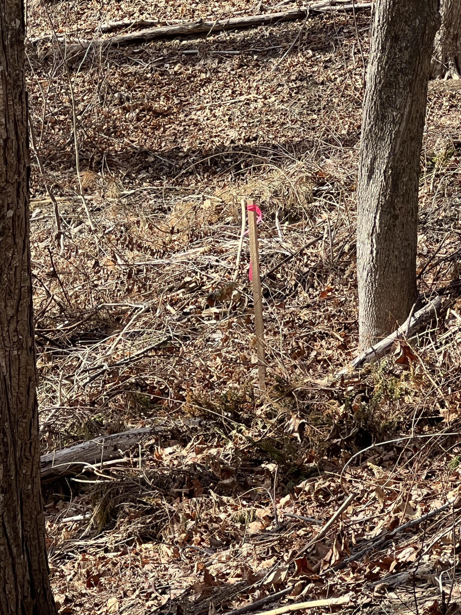 13 River Road York, ME 03902 - Photo 27 of 30 IMG_4086