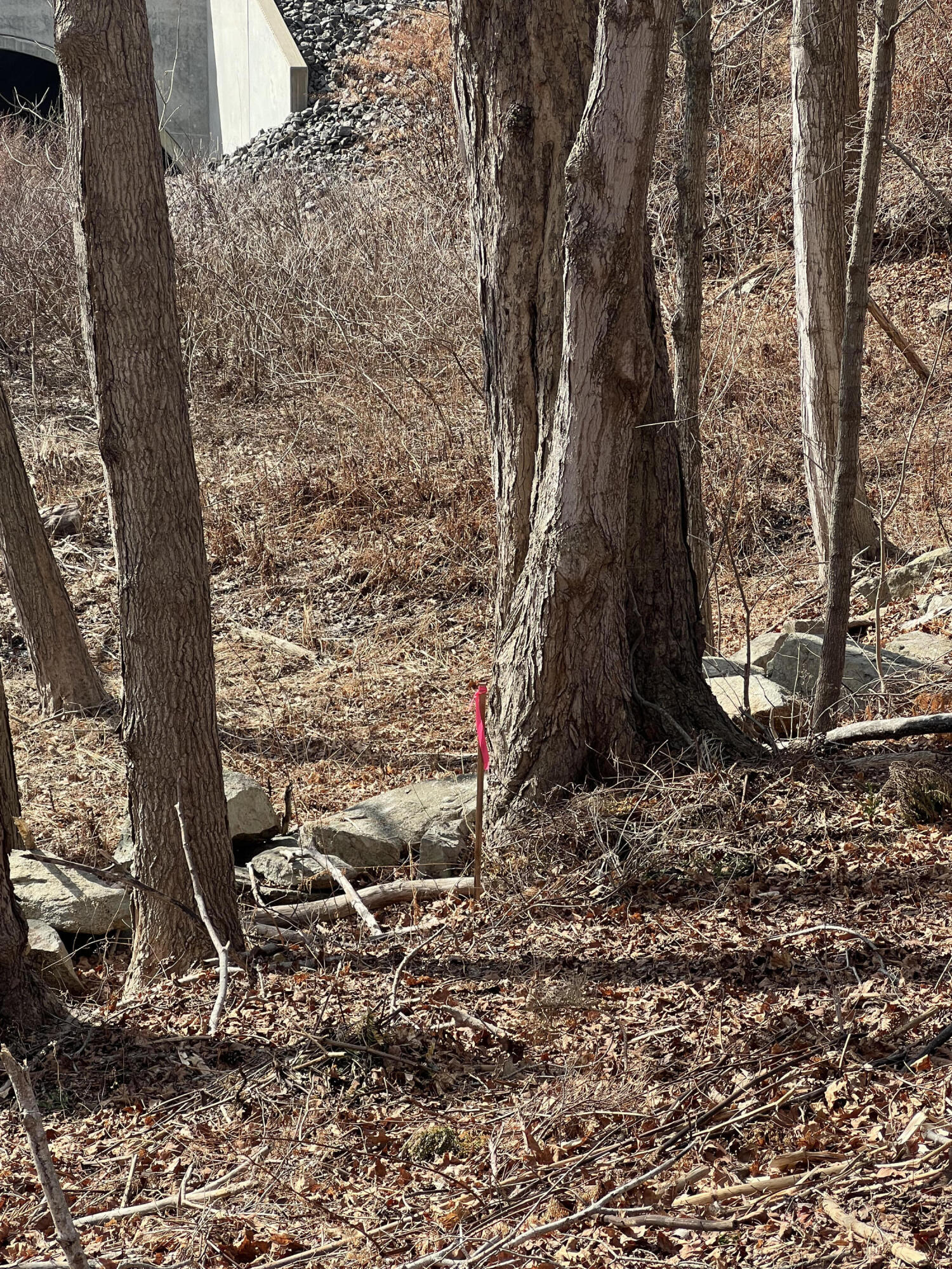 13 River Road York, ME 03902 - Photo 28 of 30 IMG_4085