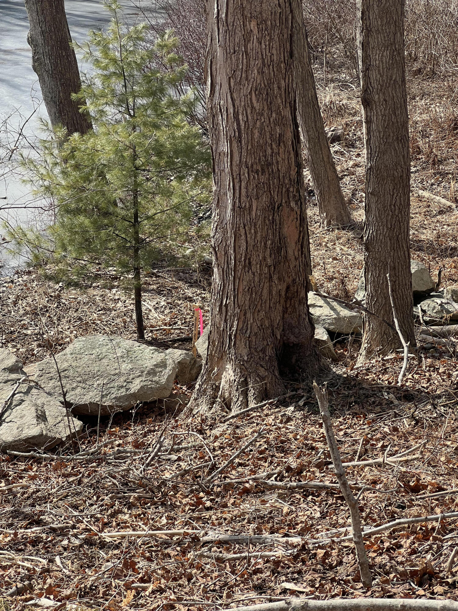 13 River Road York, ME 03902 - Photo 29 of 30 IMG_4084