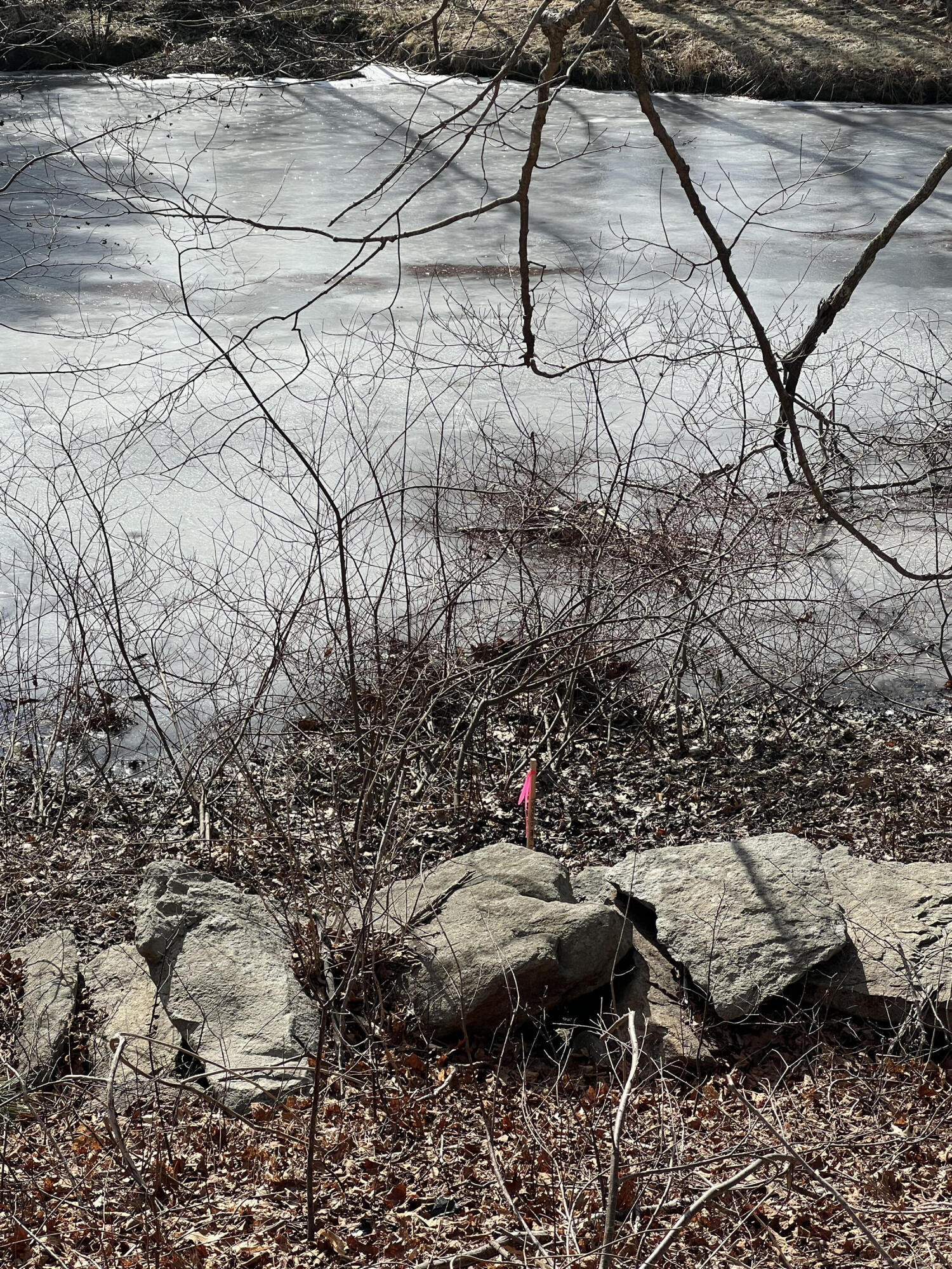 13 River Road York, ME 03902 - Photo 30 of 30 IMG_4083