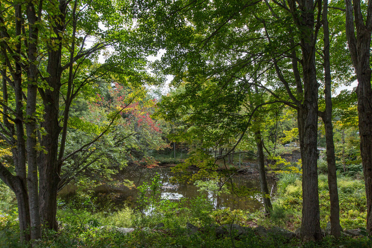 13 River Road York, ME 03902 - Photo 10 of 30 013-13RiverRd