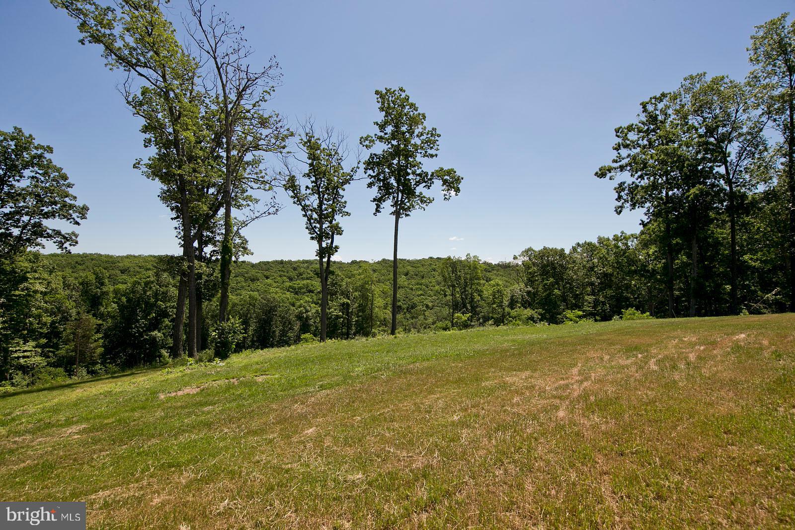 1341 Adams Road Winchester, VA 22603 - Photo 53 of 76 Gallery Image 53
