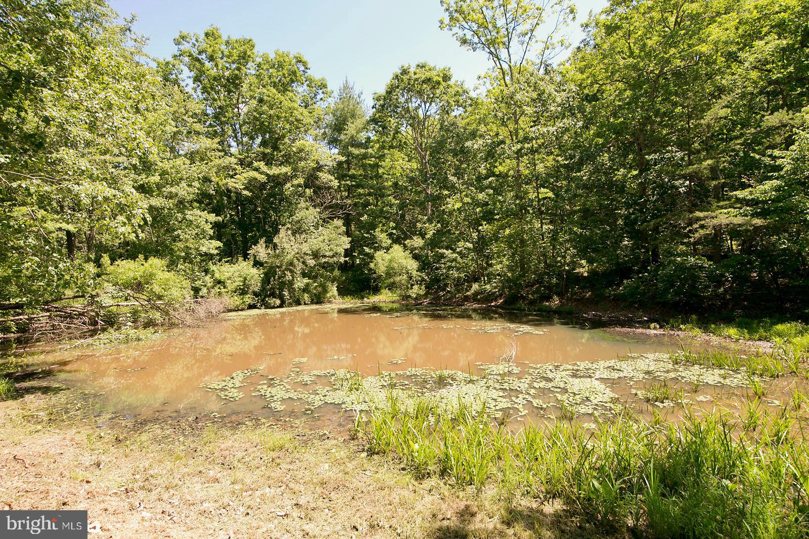 1341 Adams Road Winchester, VA 22603 - Photo 54 of 76 Gallery Image 54