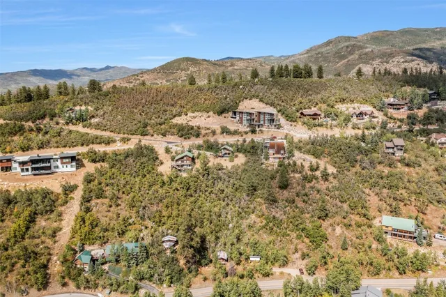 a view of a yard with plants and wooden fence