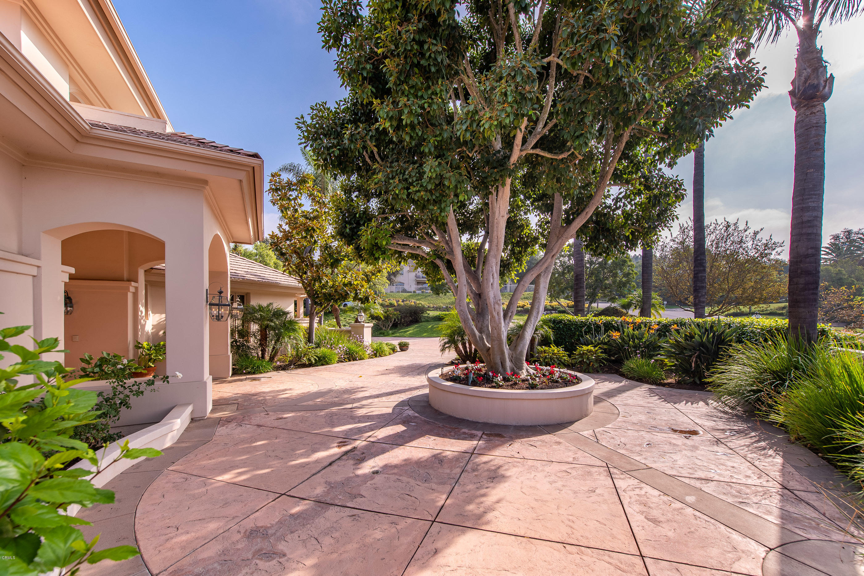 657 Corte Corrida Camarillo, CA 93010 - Photo 14 of 74 a view of a backyard with plants and a tree