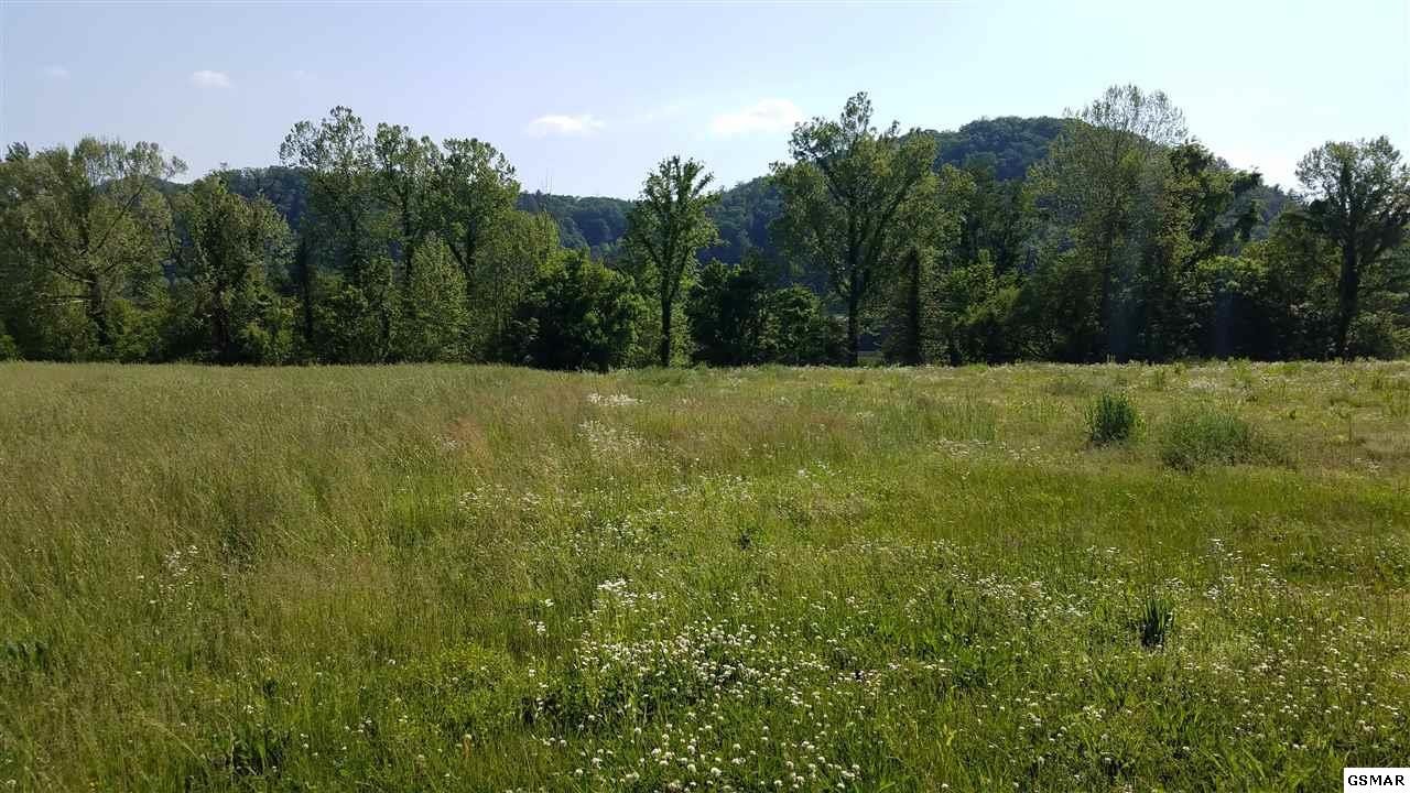 10 River Rpds Way Del Rio, TN 37727 - Photo 10 of 16 Gallery Image 10