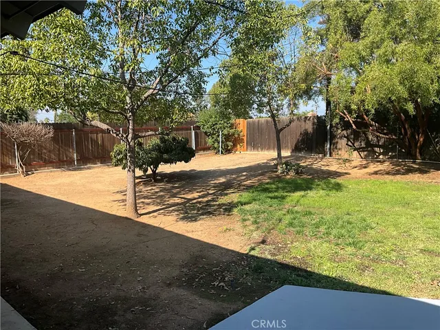 a view of yard with tree