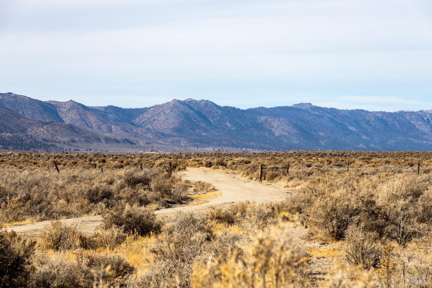 737-455 Herlong Access Road Doyle, CA 96109 - Photo 32 of 49 a view of a lush green field with mountains in the background