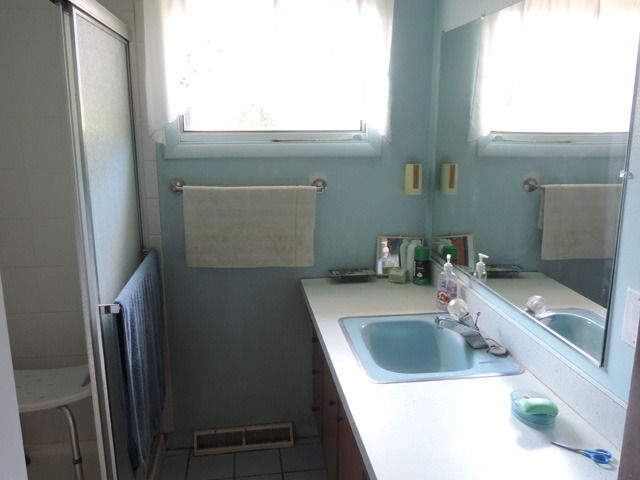 106 Thornton Street Lockport, IL 60441 - Photo 9 of 9 a bathroom with a sink a bathtub and a window