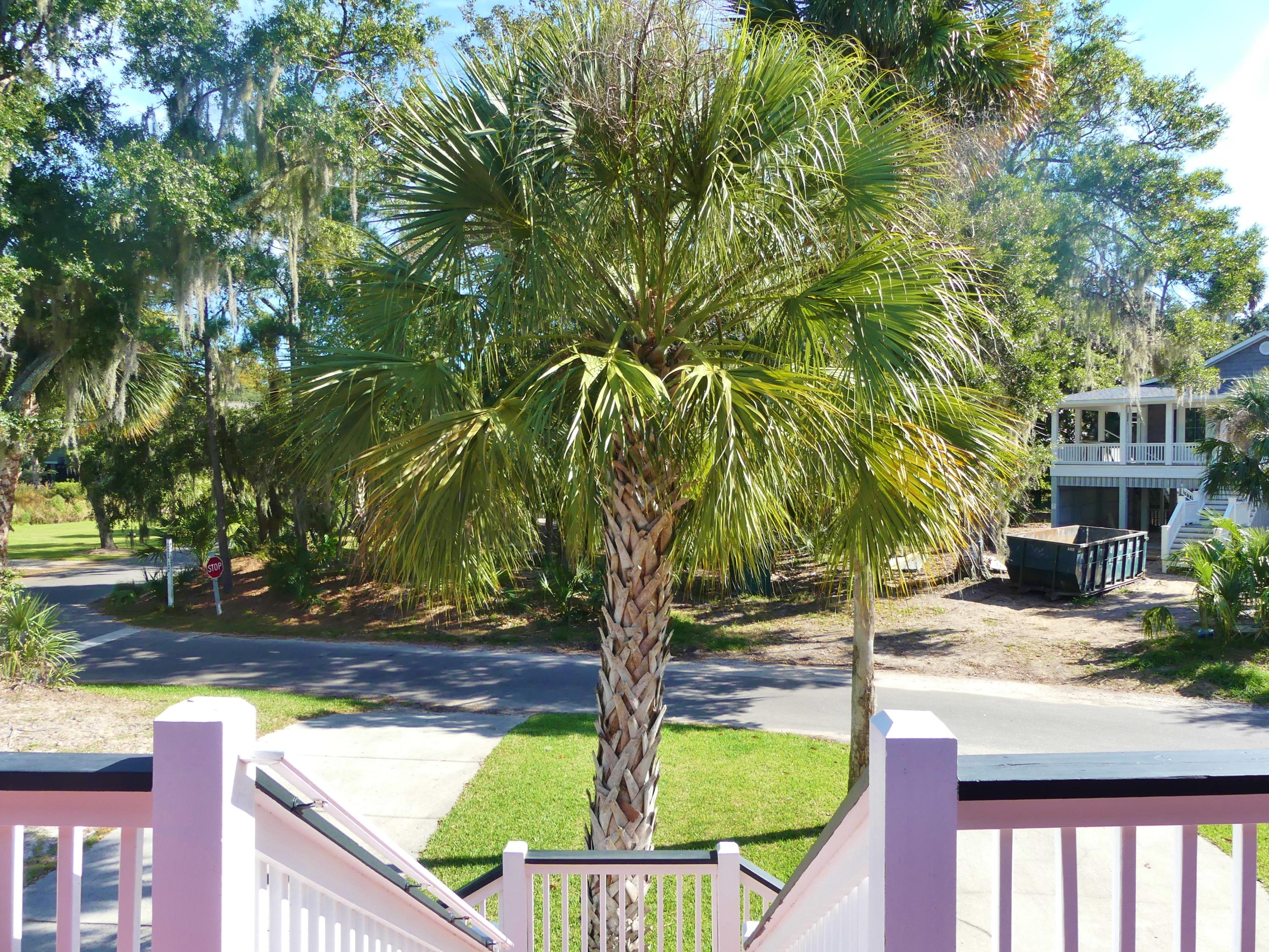 26 Rice Lane Edisto Island, SC 29438 - Photo 52 of 81 53