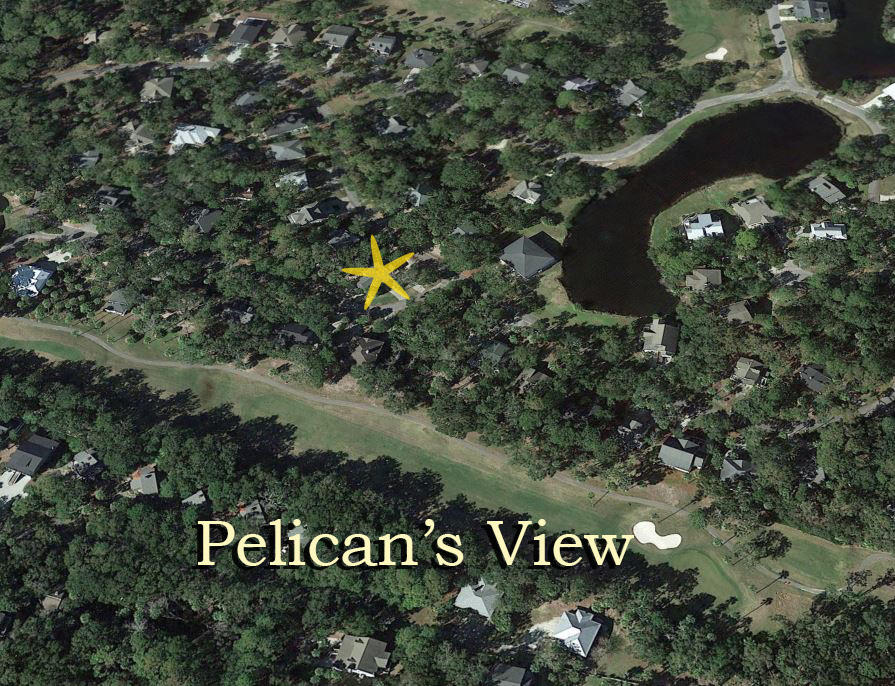 26 Rice Lane Edisto Island, SC 29438 - Photo 69 of 81 70