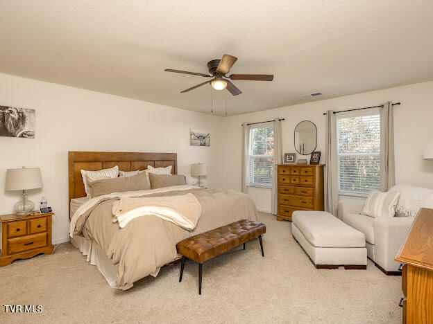 1305 Clark Pt Road Kingsport, TN 37660 - Photo 23 of 34 IMG_7738