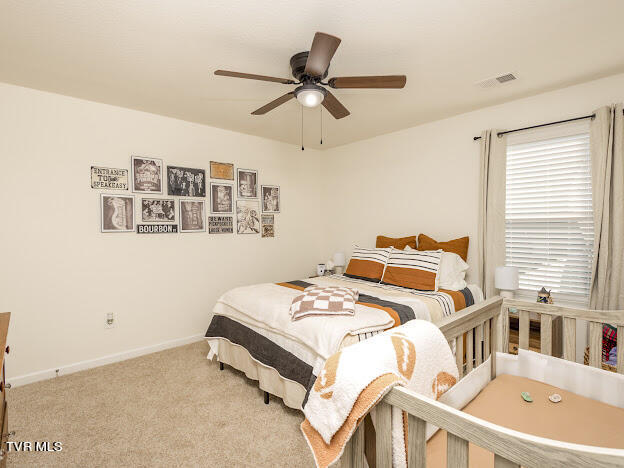 1305 Clark Pt Road Kingsport, TN 37660 - Photo 27 of 34 IMG_7744