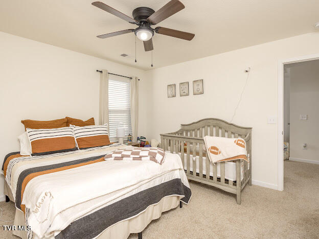 1305 Clark Pt Road Kingsport, TN 37660 - Photo 28 of 34 IMG_7743