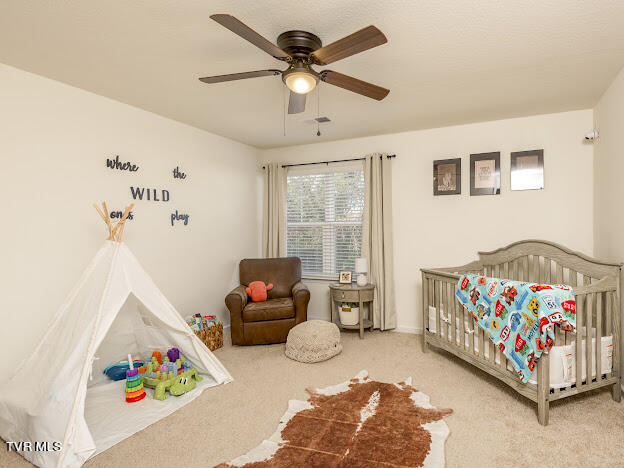 1305 Clark Pt Road Kingsport, TN 37660 - Photo 29 of 34 IMG_7737