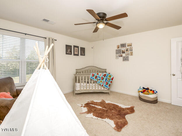 1305 Clark Pt Road Kingsport, TN 37660 - Photo 30 of 34 IMG_7736