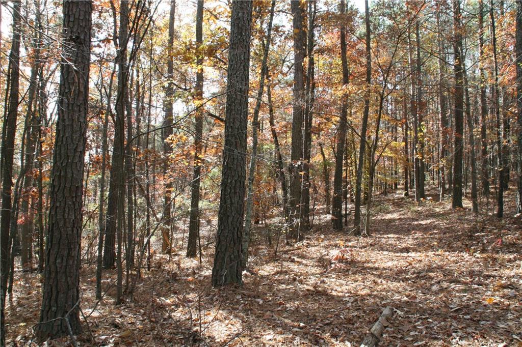 0 Wright Road Ellijay, GA 30540 - Photo 1 of 1