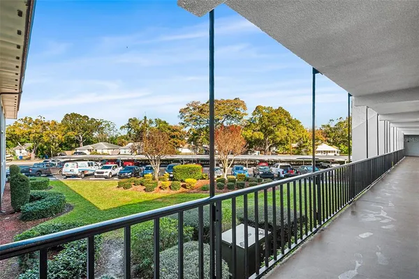 a view of a park with large trees