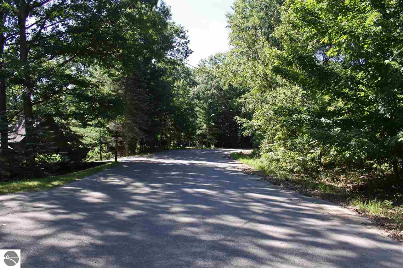 10335 Wildwood Road Interlochen, MI 49643 - Photo 47 of 47 1790225-47.JPG