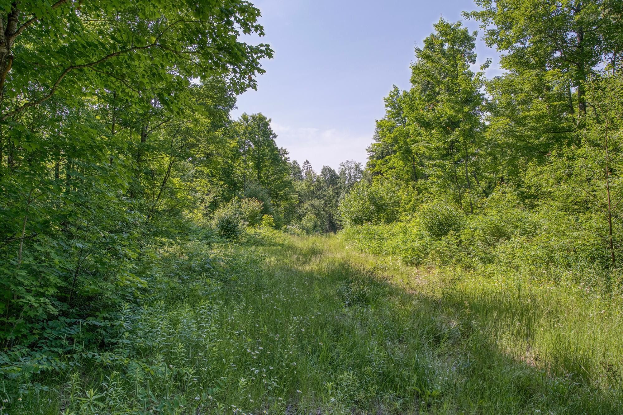 6881 East Forest Road, Unit LOTS 23 Marenisco, MI 49947 - Photo 29 of 34 Gallery Image 29