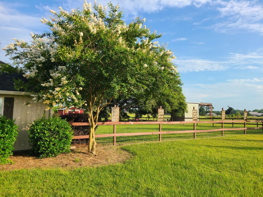 3275 Old Quitman Road Adel, GA 31620 - Photo 7 of 31 Gallery Image 7
