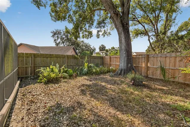 a view of a garden with a bench