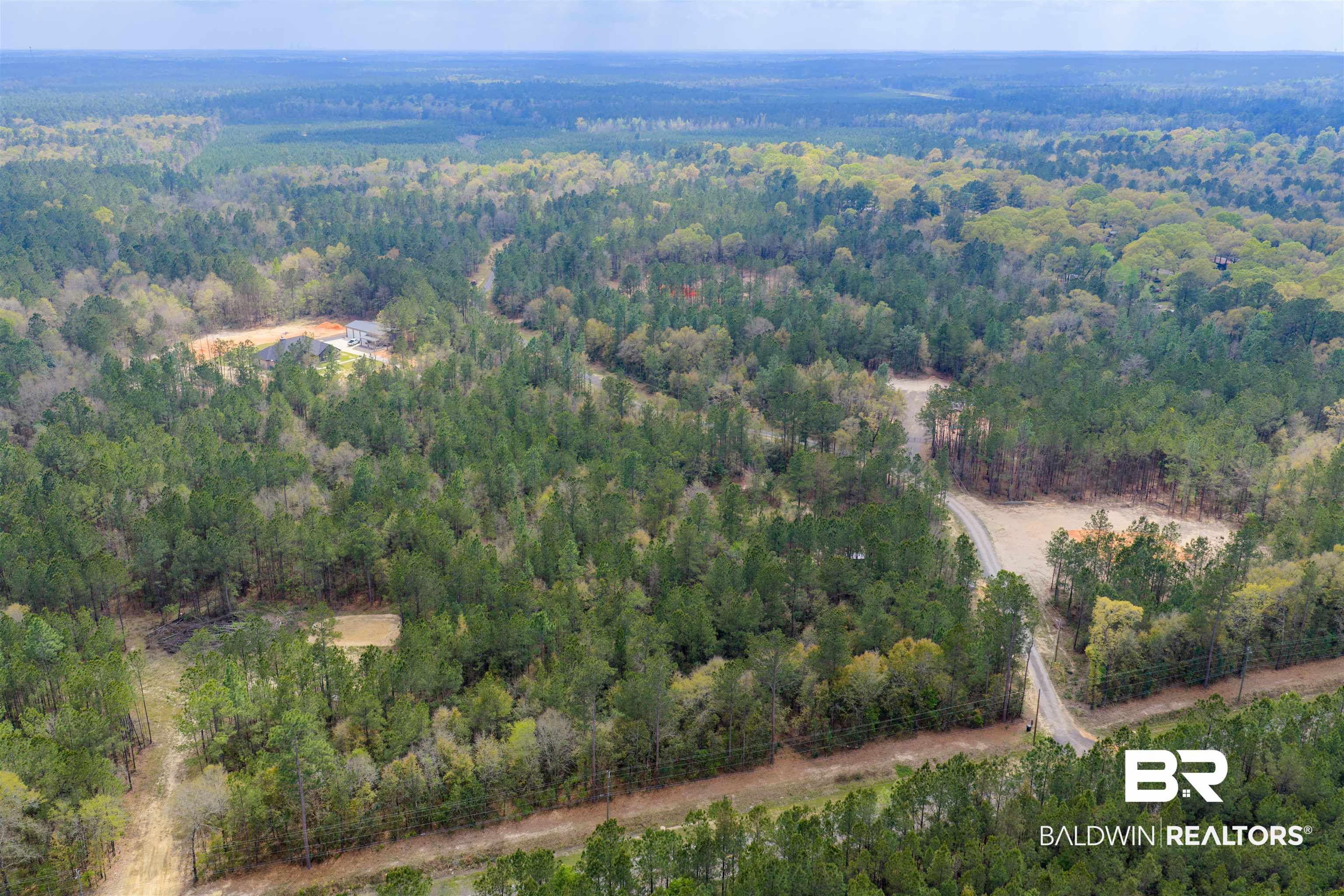 0 Salco Road Axis, AL 36505 - Photo 9 of 24 Bird's eye view of a heavily wooded area