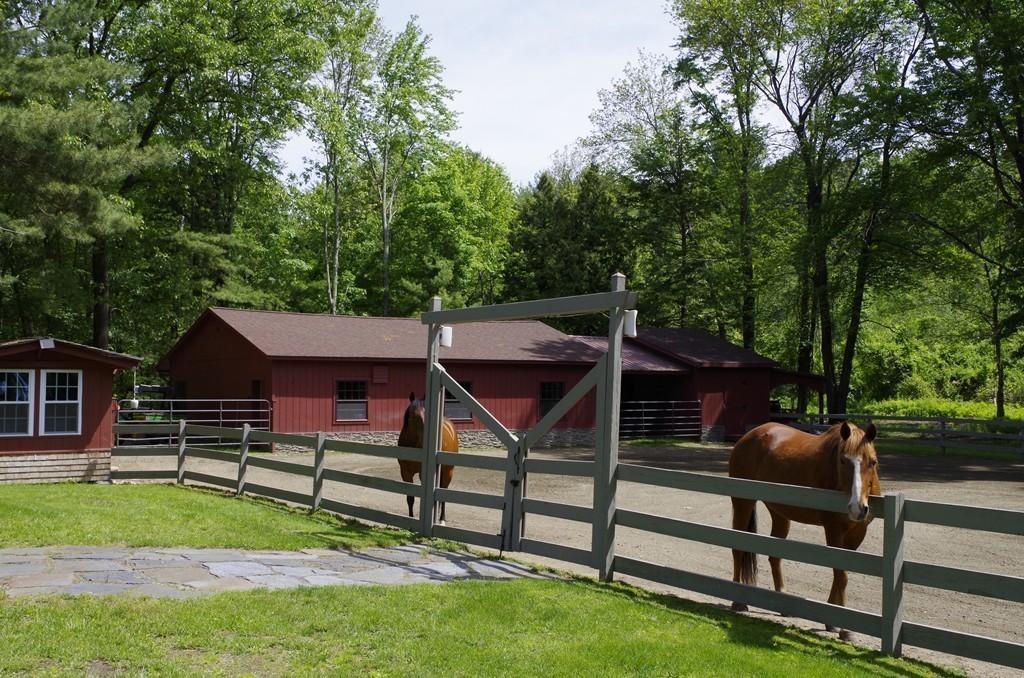 1114 Florence Road Northampton, MA 01062 - Photo 29 of 30