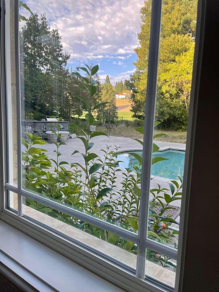 5403 Blackhawk Drive Danville, CA 94506 - Photo 14 of 47 a outdoor view from a window