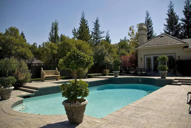 a view of a garden with plants