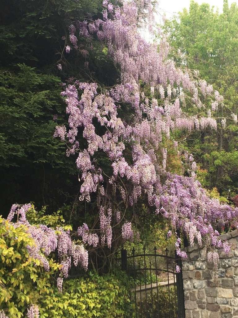 5403 Blackhawk Drive Danville, CA 94506 - Photo 39 of 47