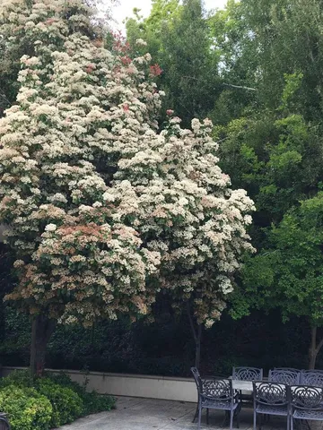 $3,900,000 | 5403 Blackhawk Drive, Danville, CA 94506