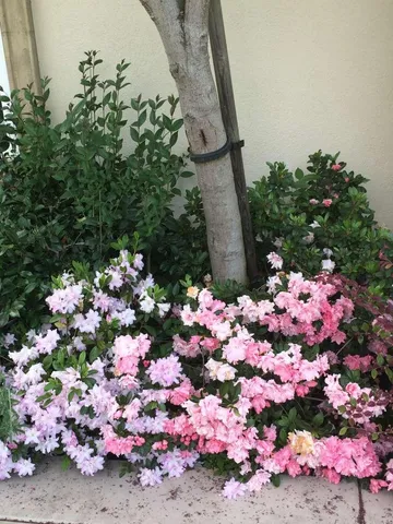 $3,900,000 | 5403 Blackhawk Drive, Danville, CA 94506