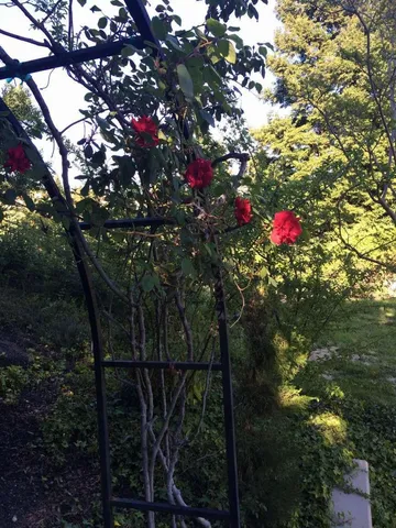 $3,900,000 | 5403 Blackhawk Drive, Danville, CA 94506