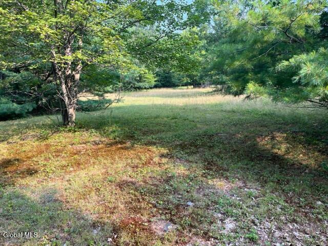 L12 Donlan Heights Road Middleburgh, NY 12122 - Photo 11 of 30 IMG_4497