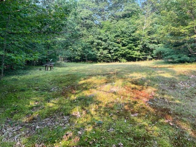 L12 Donlan Heights Road Middleburgh, NY 12122 - Photo 12 of 30 IMG_4496